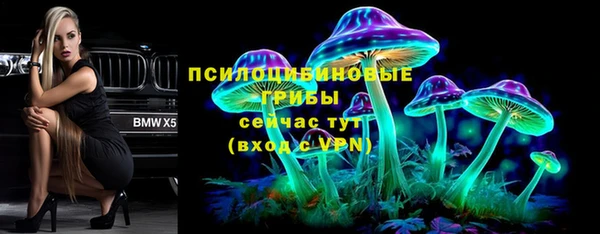 тгк Алексин