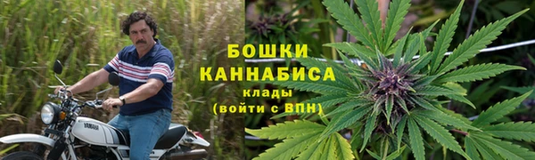 скорость Алзамай