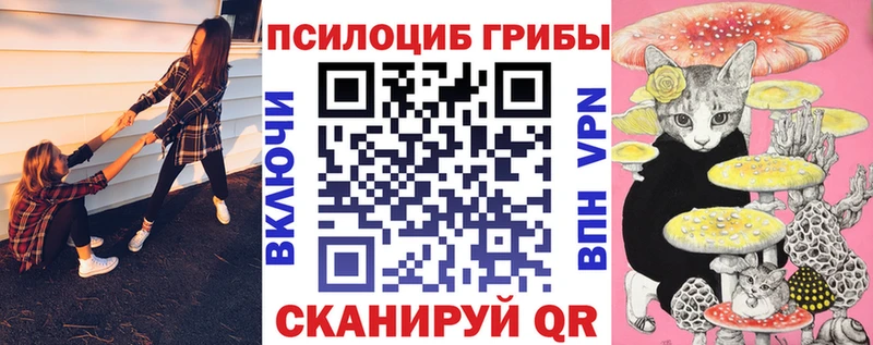 Галлюциногенные грибы мицелий  Полярные Зори 