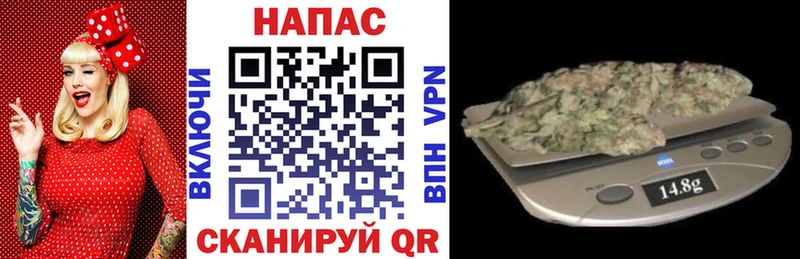 где купить наркоту  Полярные Зори  Канабис SATIVA & INDICA 